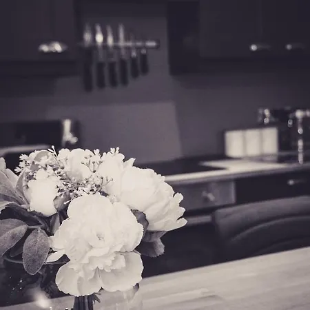 The Bird House At Invergarry Pet Friendly Windermere