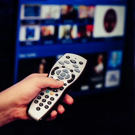 Apartamento The Bird House At Invergarry Pet Friendly